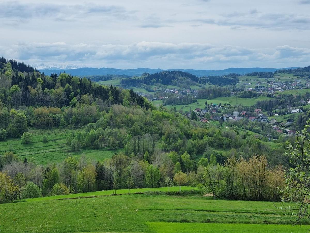 Domki Goralskie Na Podhalu Zakopane Tokarnia  Экстерьер фото
